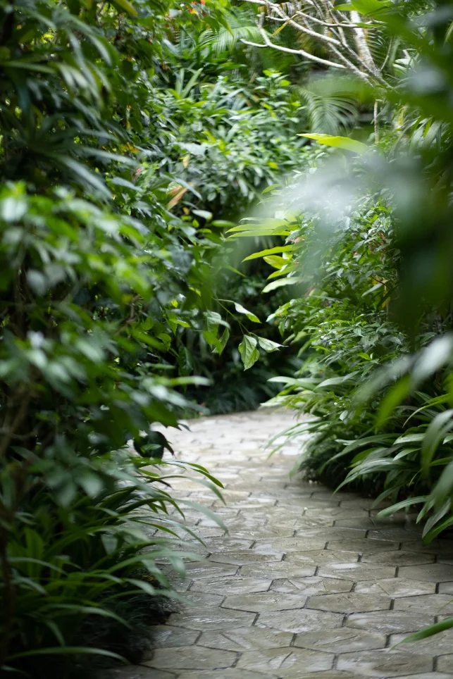 Ubud at dusk — stone, water and low light