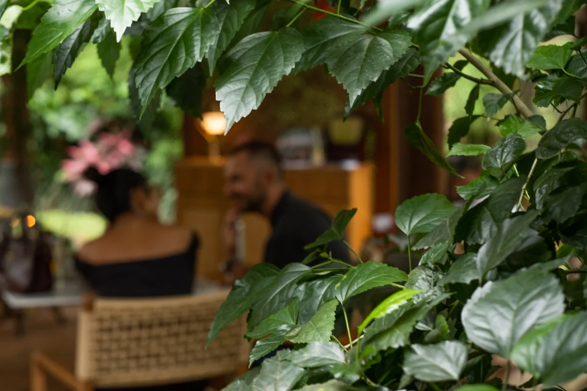 Quiet Balinese garden setting in Ubud